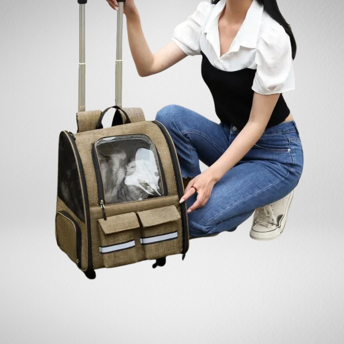 Portable Cat Carrier