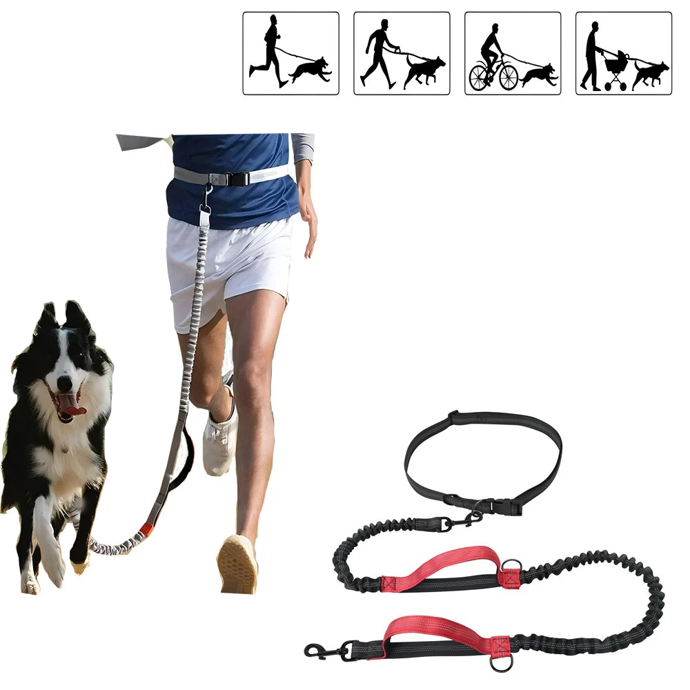 Adjustable Front Pet Carrier Backpack