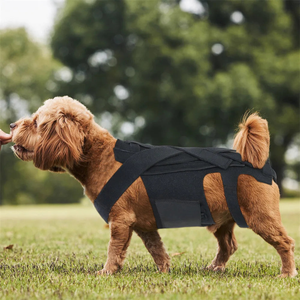 Adjustable Front Pet Carrier Backpack