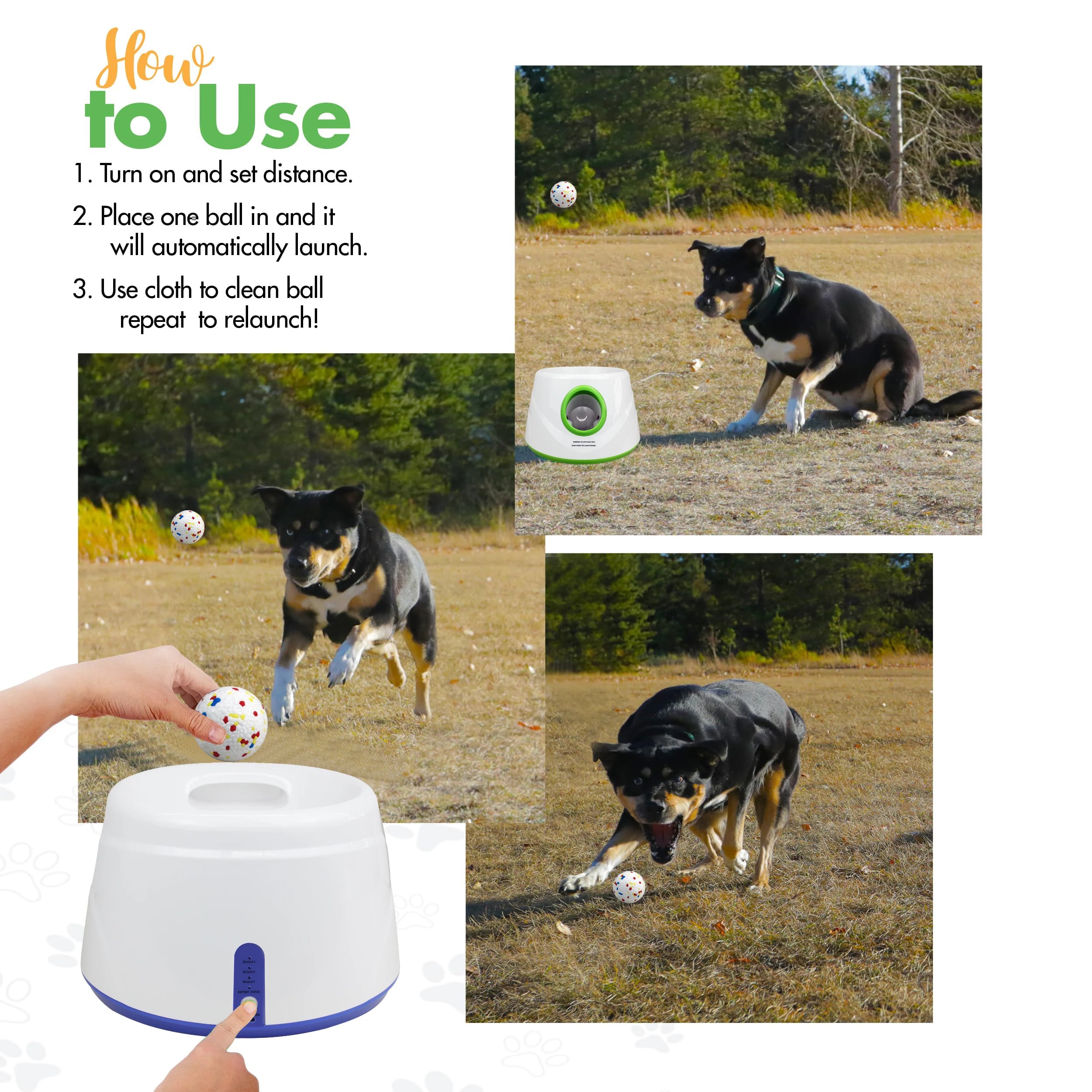 Automatic Dog Ball Launcher