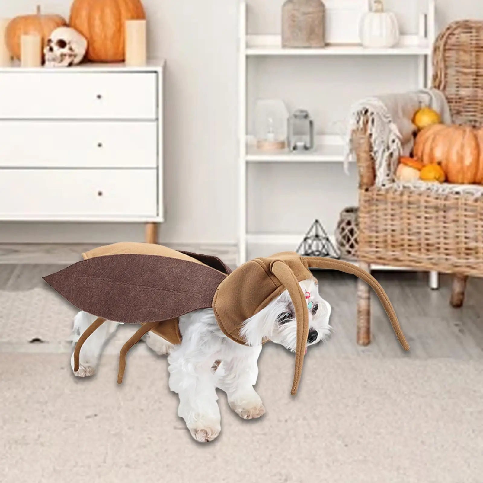 Funny Cosplay Dog Costume Outfit