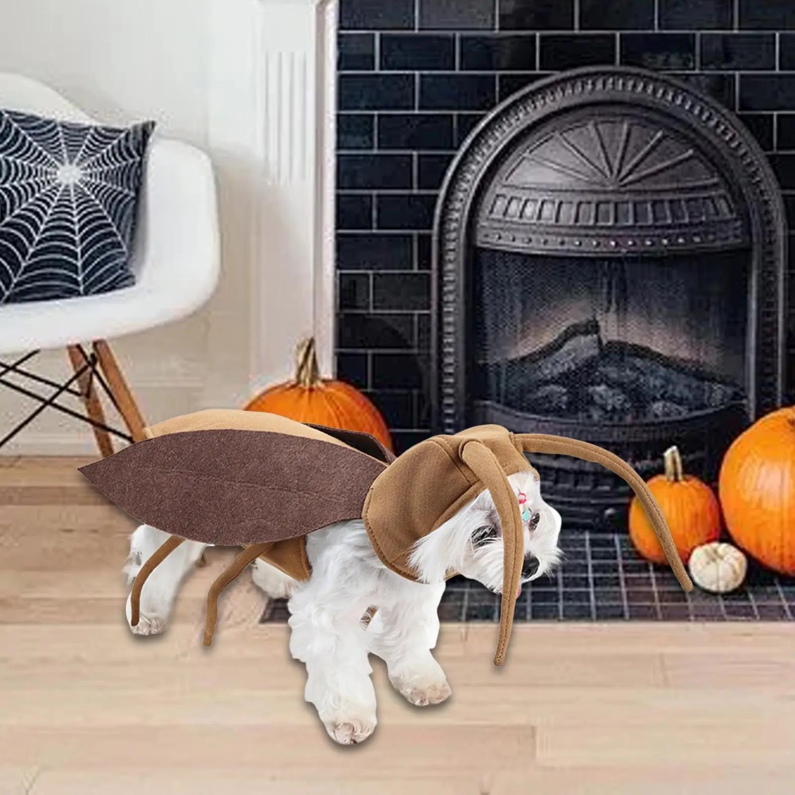 Funny Cosplay Dog Costume Outfit