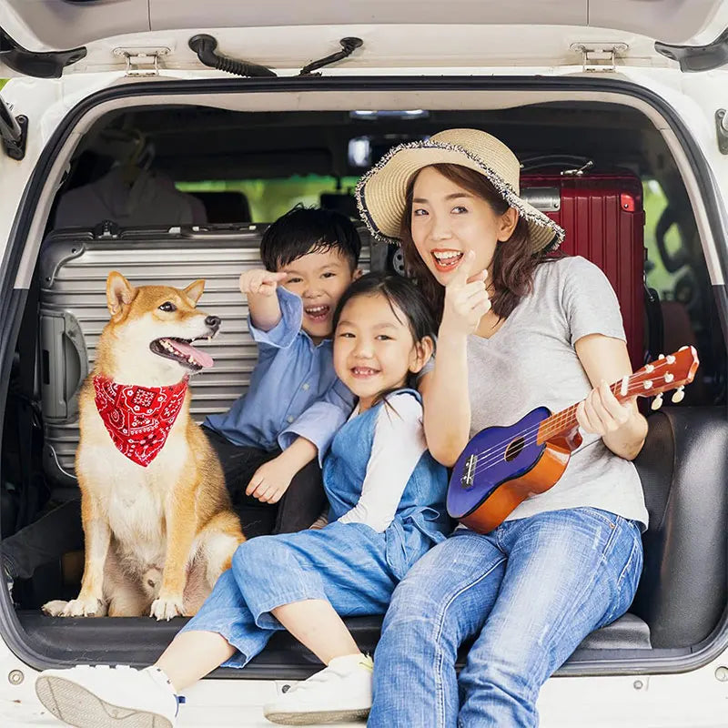 TechnuPet Pet Bandanas Adjustable Dog & Cat Bandana