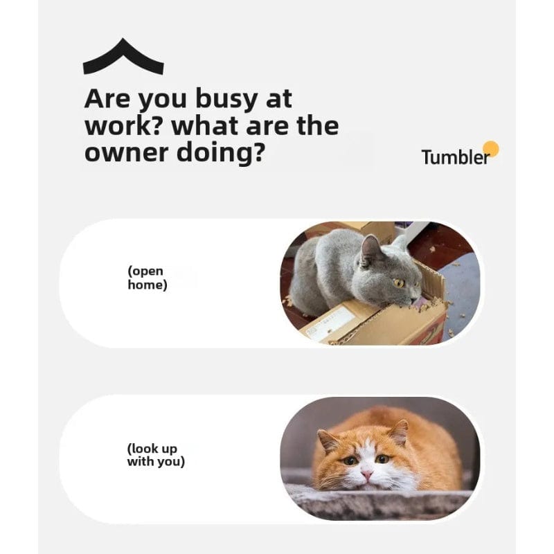 TechnuPet Cat Toys Automatic Rolling Cat Ball