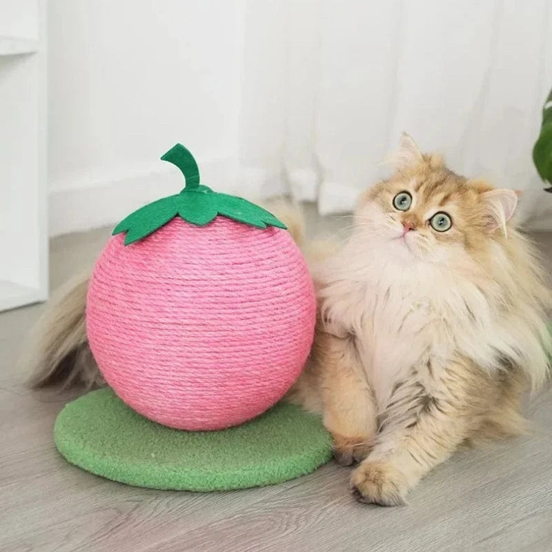 TechnuPet Cat Scratching Post Cat Scratching Toy