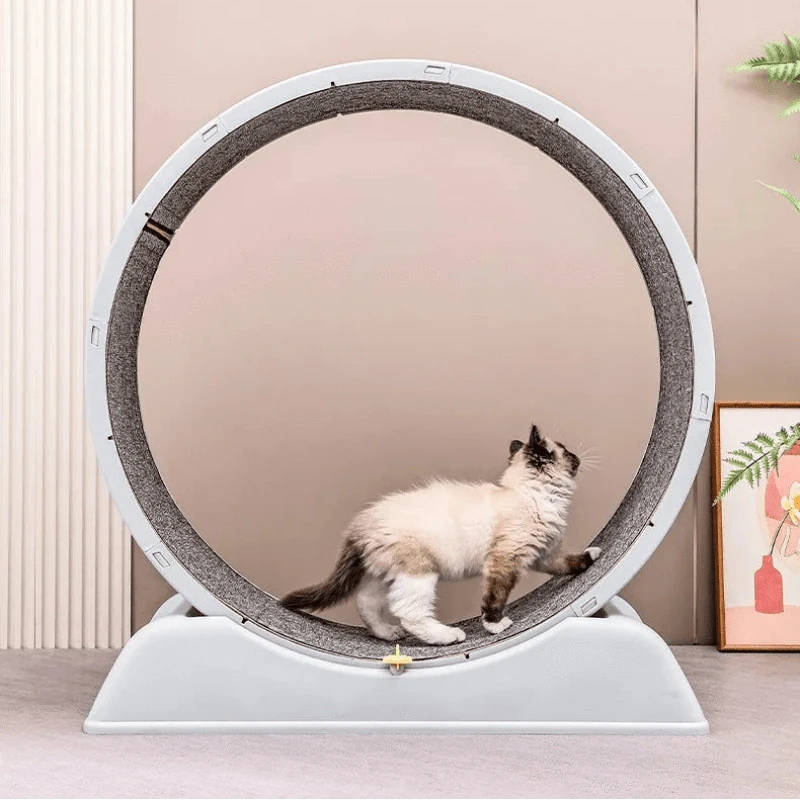 TechnuPet Cat Toys Cat Treadmill