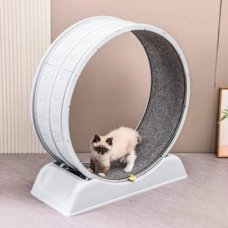 TechnuPet Cat Toys Cat Treadmill