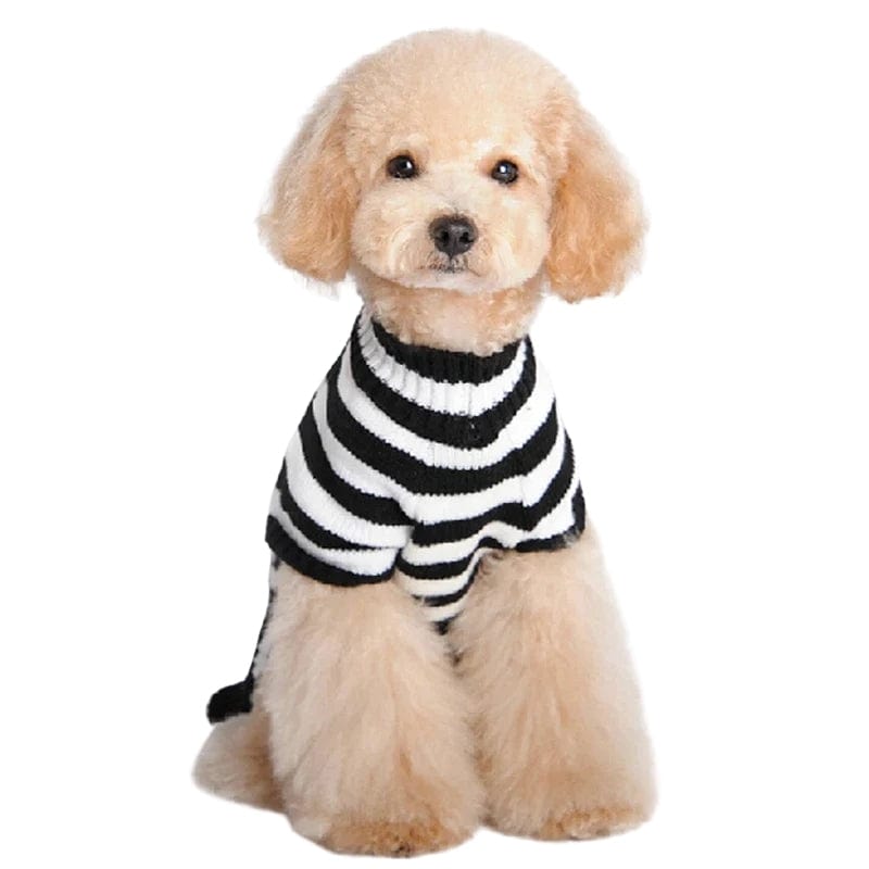 TechnuPet Dog Sweaters Halloween Dog Sweater
