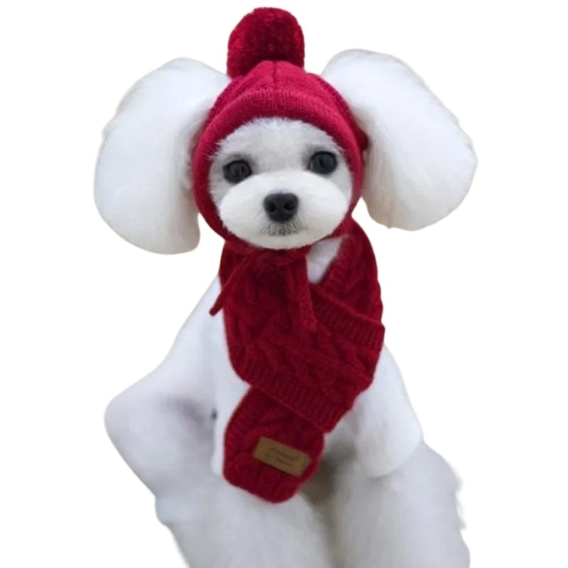 TechnuPet Dog Christmas Outfit Red / S Knitted Dog Winter Hat and Scarf Christmas Outfit