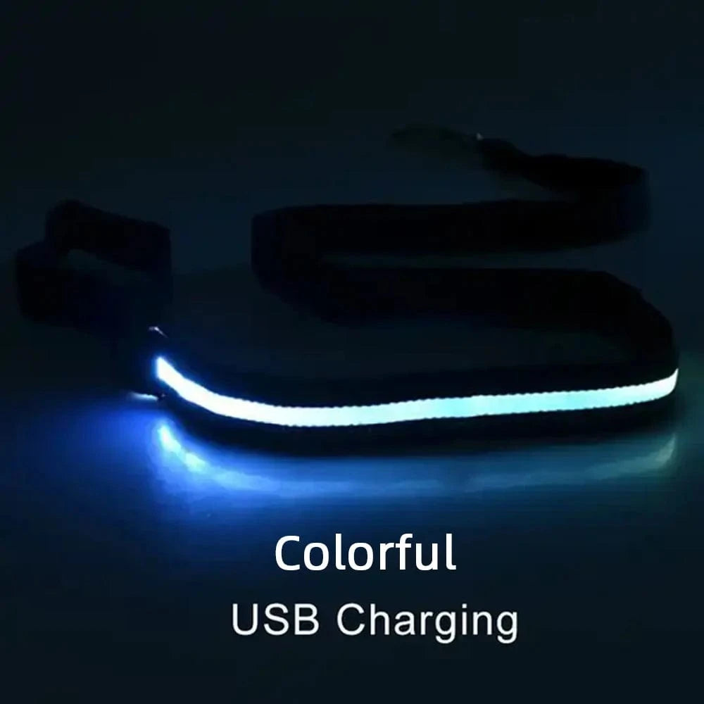 TechnuPet Smart Dog Leash Colorful USBCharging / Traction rope only LED Light Up Dog Leash with Safety Glow