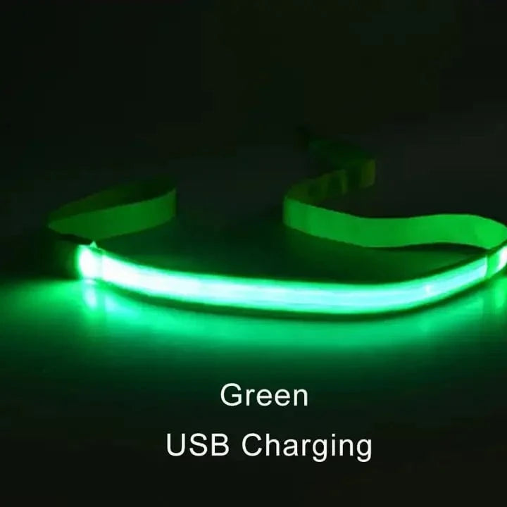 TechnuPet Smart Dog Leash Green USBCharging / Traction rope only LED Light Up Dog Leash with Safety Glow