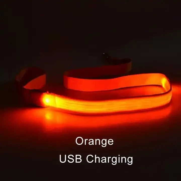 TechnuPet Smart Dog Leash Orange USBCharging / Traction rope only LED Light Up Dog Leash with Safety Glow