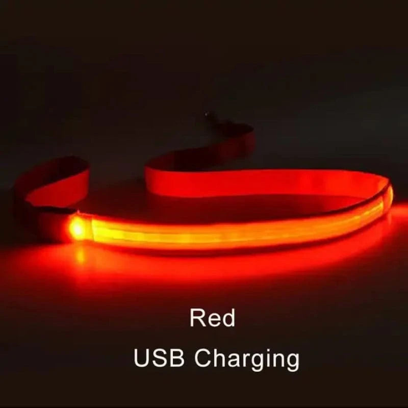 TechnuPet Smart Dog Leash Red USBCharging / Traction rope only LED Light Up Dog Leash with Safety Glow