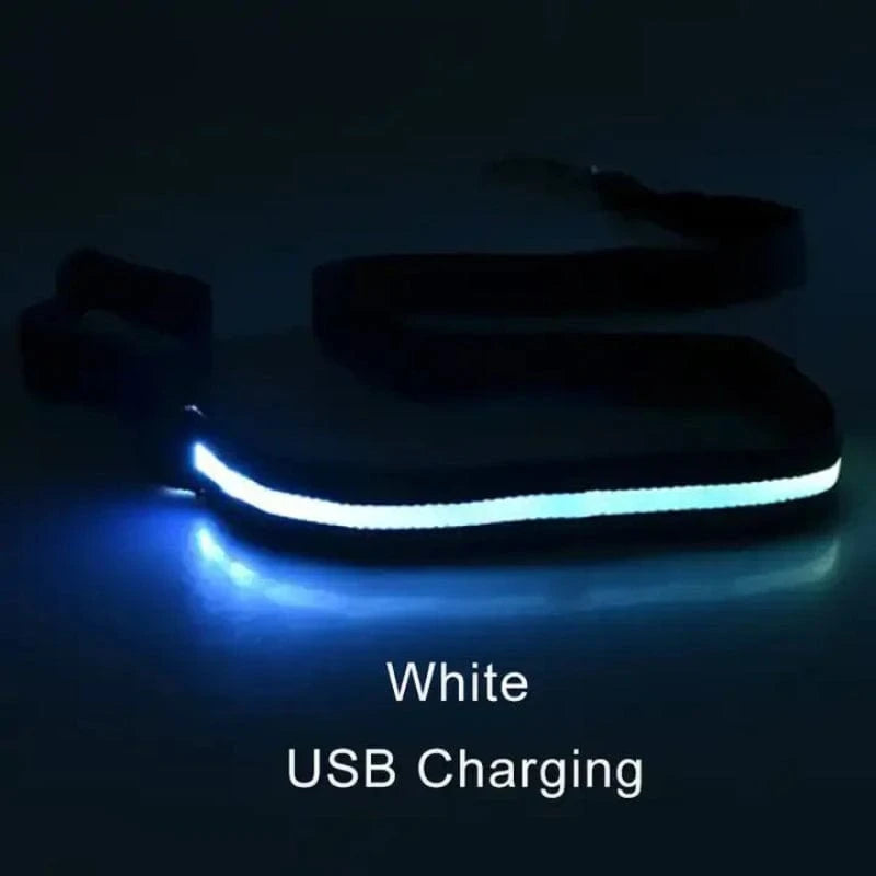 TechnuPet Smart Dog Leash White USBCharging / Traction rope only LED Light Up Dog Leash with Safety Glow