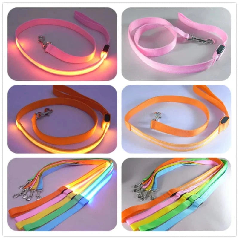 TechnuPet Smart Dog Leash LED Light Up Dog Leash with Safety Glow
