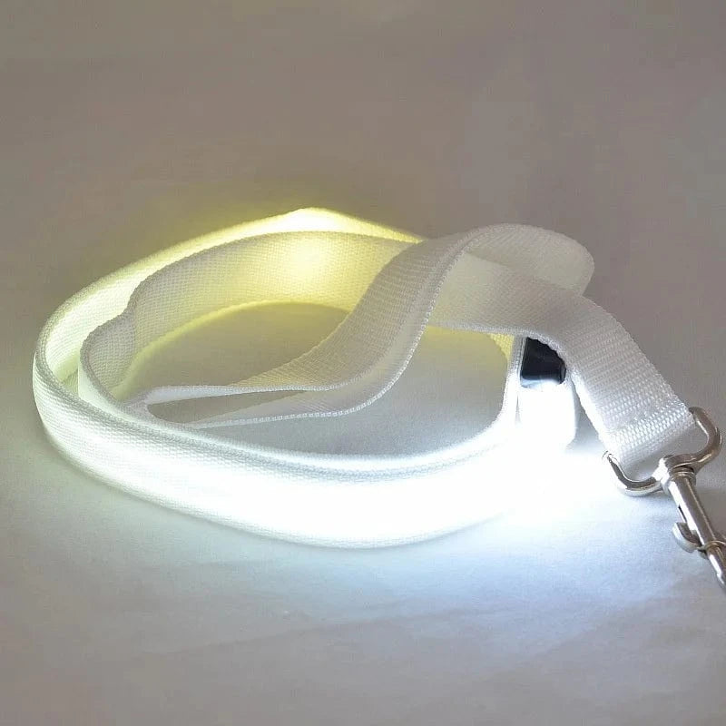 TechnuPet Smart Dog Leash LED Light Up Dog Leash with Safety Glow
