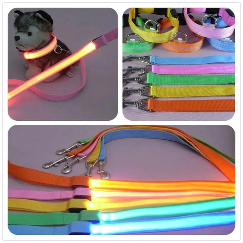 TechnuPet Smart Dog Leash LED Light Up Dog Leash with Safety Glow