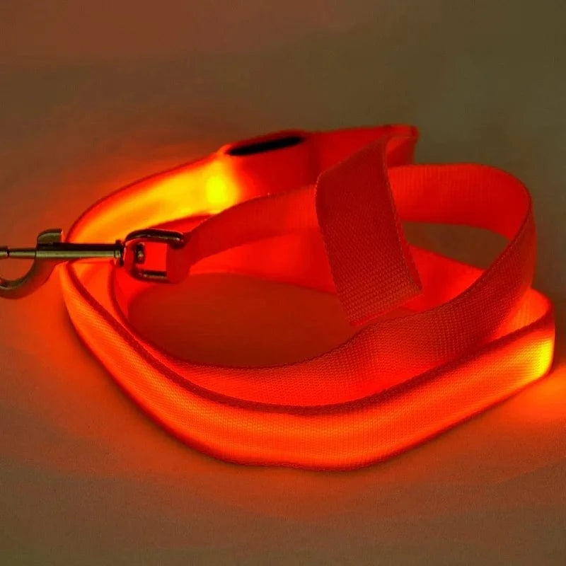 TechnuPet Smart Dog Leash LED Light Up Dog Leash with Safety Glow