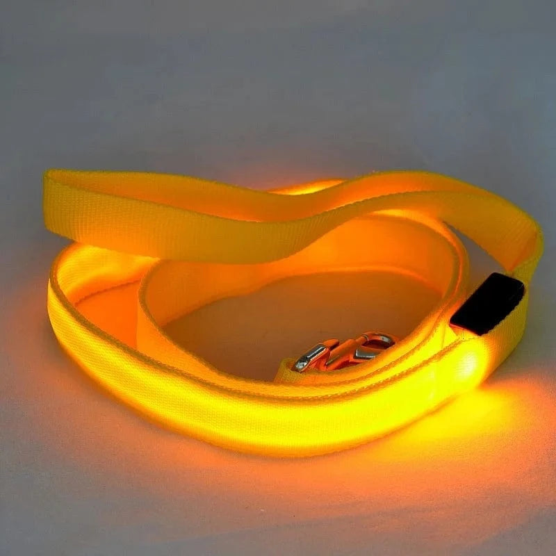 TechnuPet Smart Dog Leash LED Light Up Dog Leash with Safety Glow