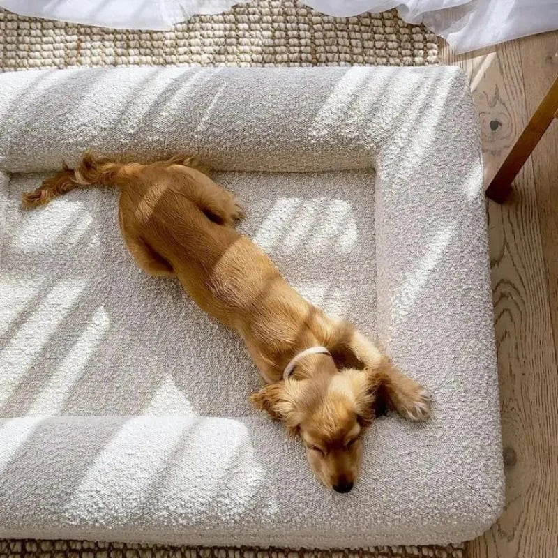 TechnuPet Dog Bed Picture color1 / 73-58-15cm Orthopedic Memory Foam Dog Bed