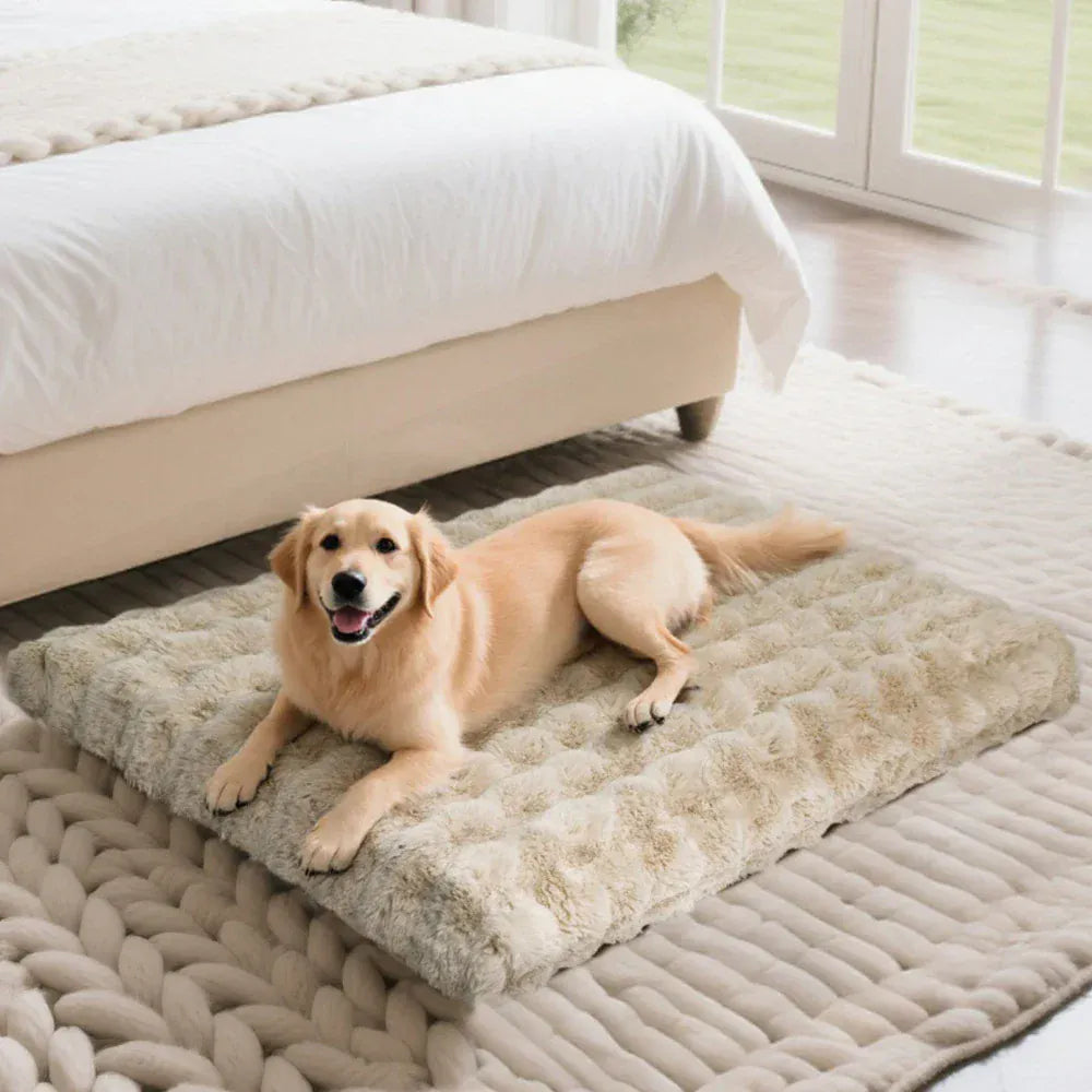 TechnuPet Dog Bed Plush Dog Bed