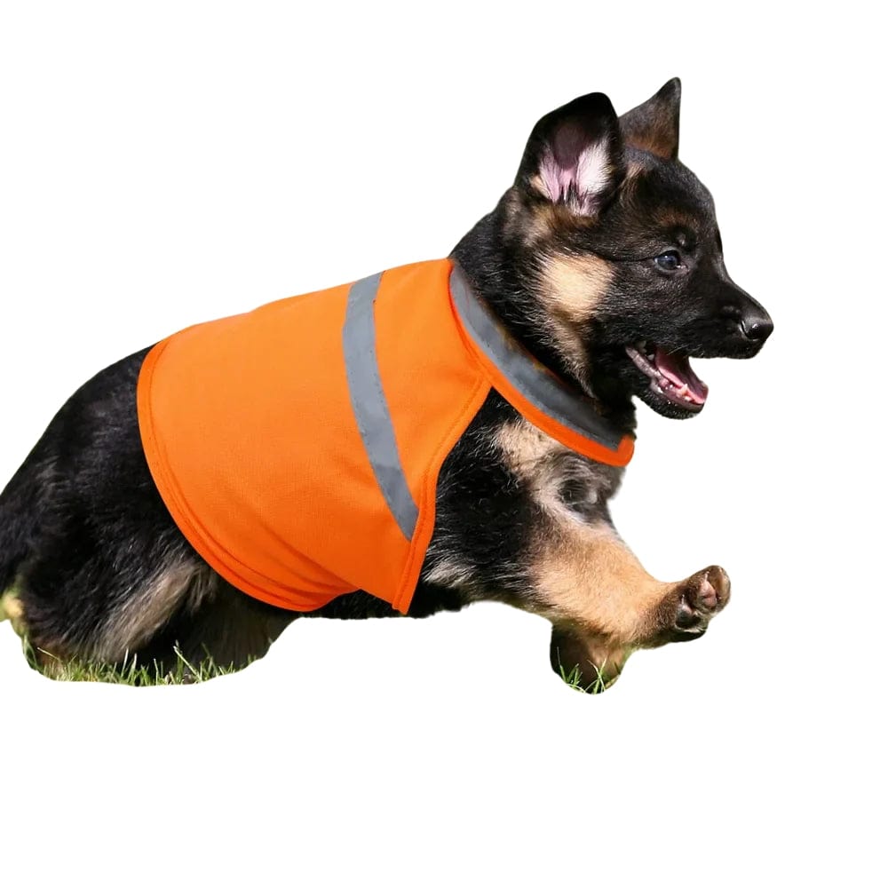 TechnuPet Reflective Dog vest Reflective Dog Safety Vest