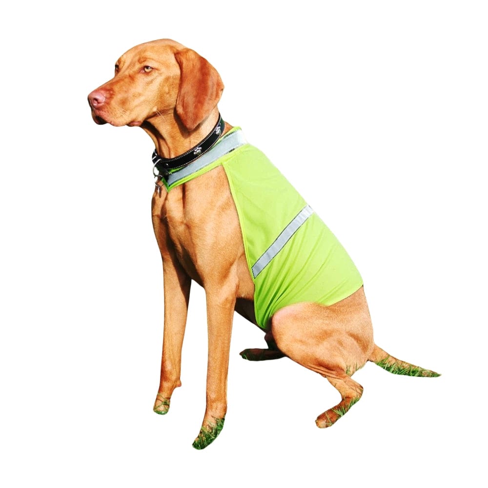 TechnuPet Reflective Dog vest Reflective Dog Safety Vest