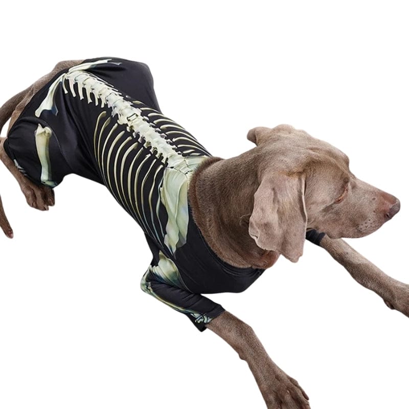 TechnuPet Dog Halloween Costumes Skeleton Dog Halloween Costume