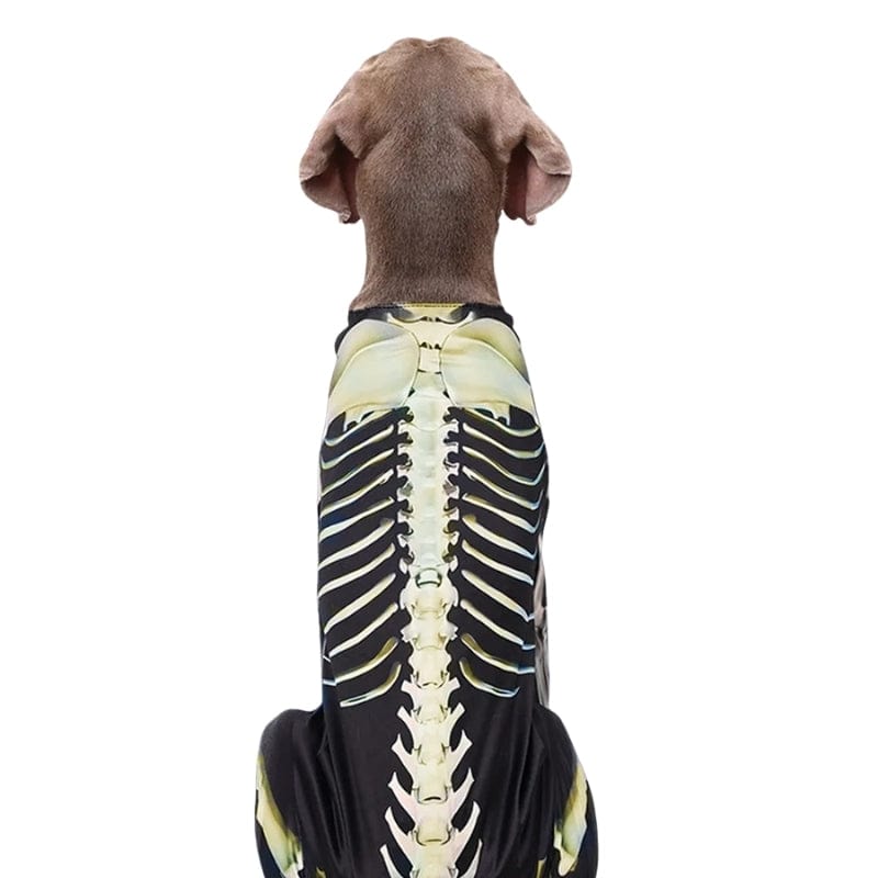TechnuPet Dog Halloween Costumes Skeleton Dog Halloween Costume