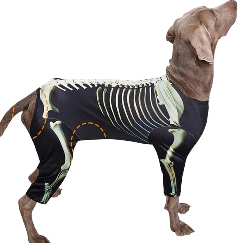 TechnuPet Dog Halloween Costumes Skeleton Dog Halloween Costume