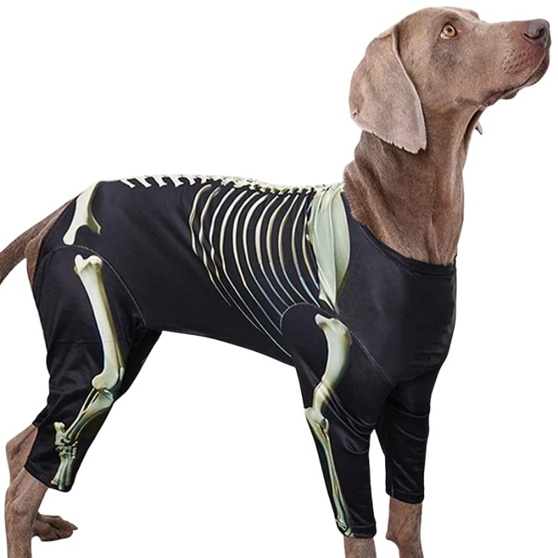 TechnuPet Dog Halloween Costumes Skeleton Dog Halloween Costume