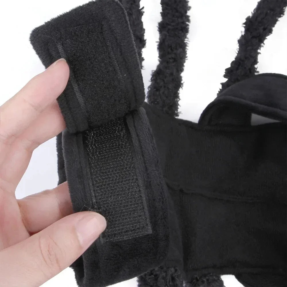 TechnuPet Dog Halloween Costumes Spider Halloween Pet Costume