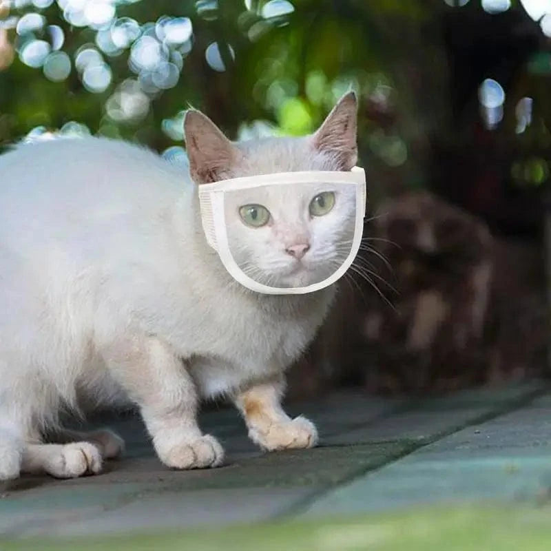 TechnuPet Cat Nail Care Transparent Cat Muzzle – Anti-Bite Face Guard for Nail Trimming
