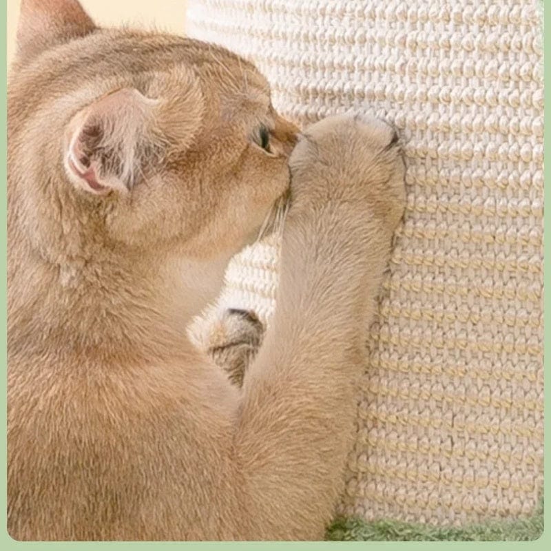 TechnuPet Cat Scratching Post Velvet Cat Climbing Scratching Post