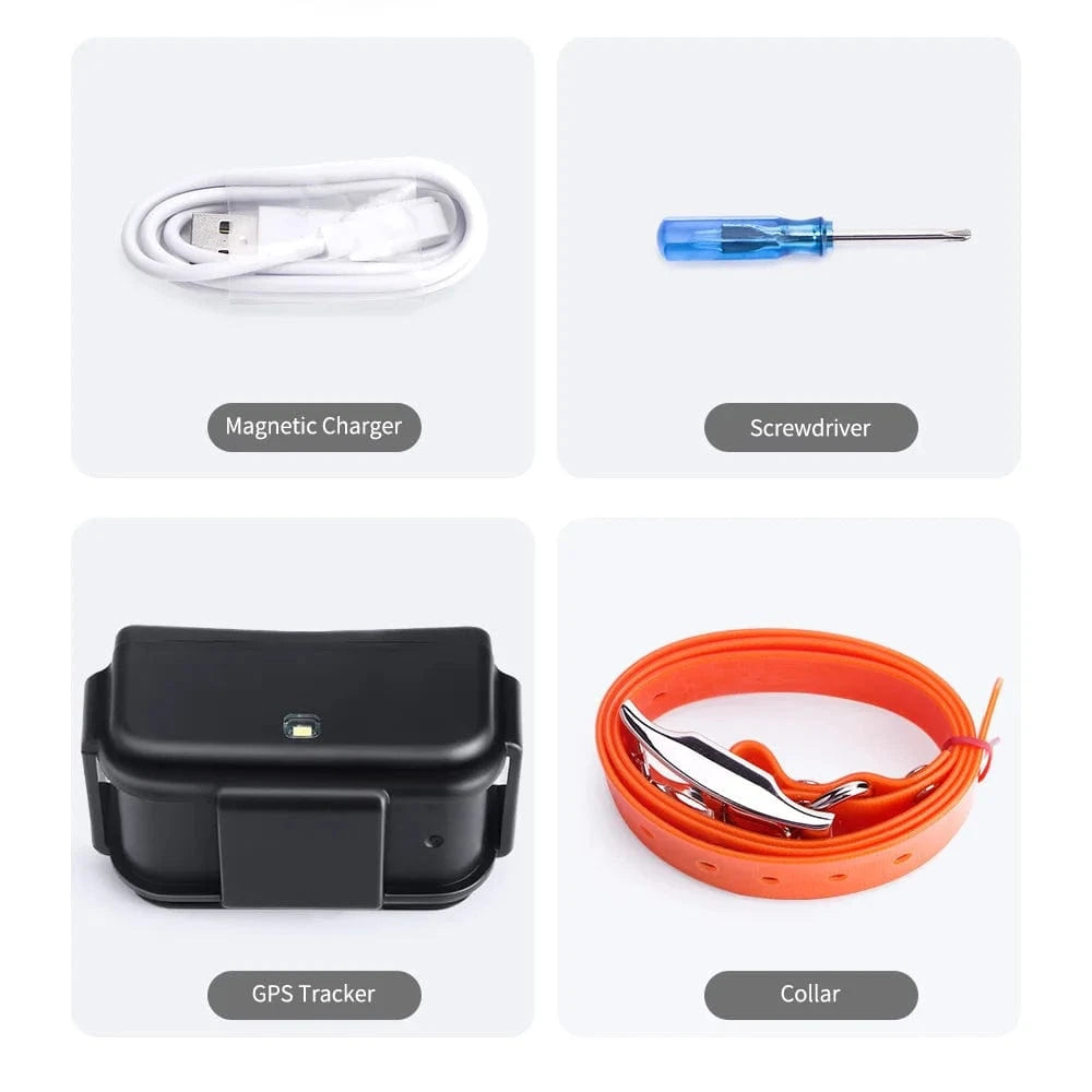 TechnuPet Dog GPS Tracker Lifetime Platform / CHINA Waterproof 4G Pet GPS Tracker