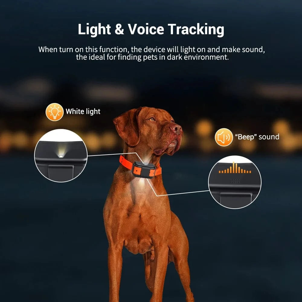 TechnuPet Dog GPS Tracker Lifetime Platform / CHINA Waterproof 4G Pet GPS Tracker