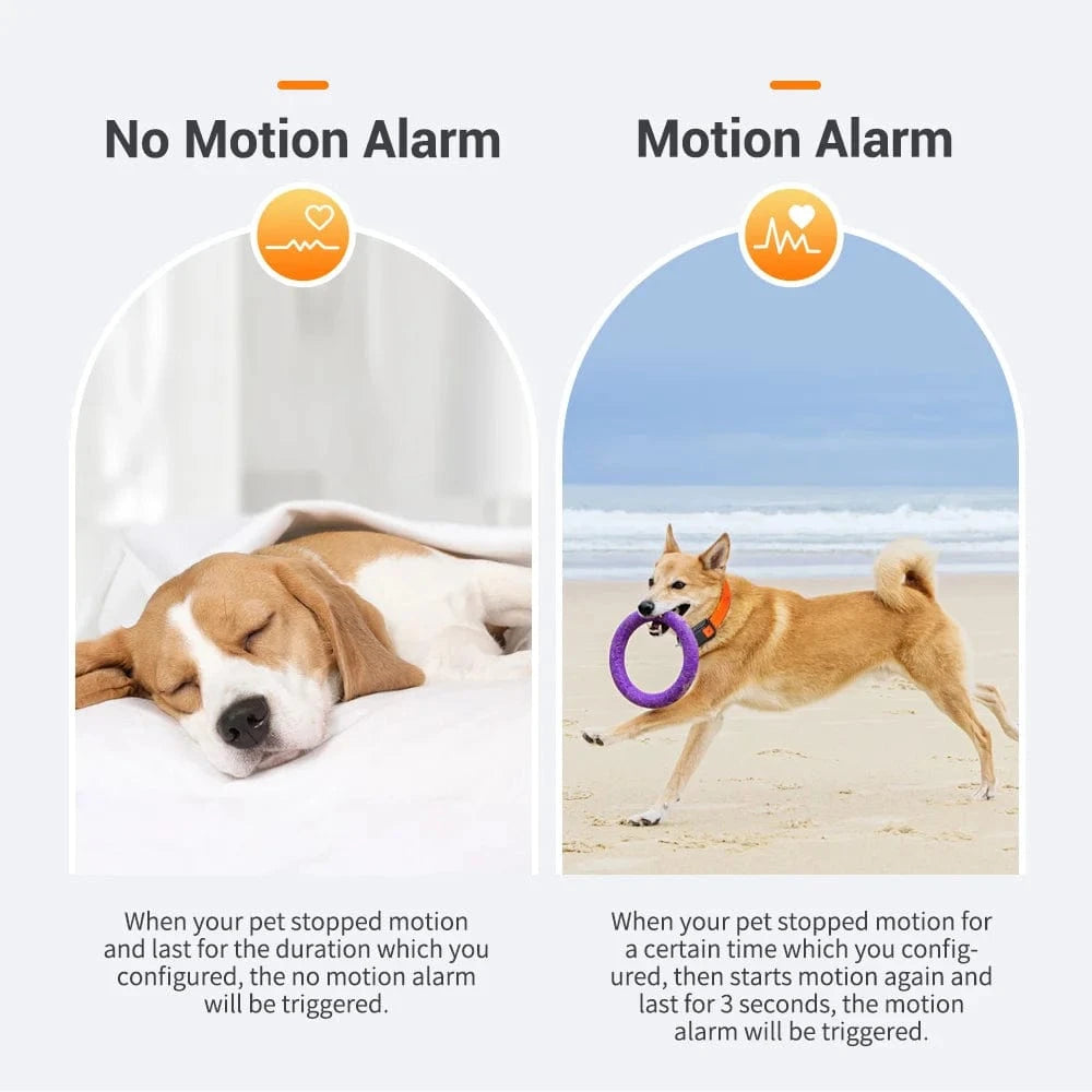 TechnuPet Dog GPS Tracker Lifetime Platform / CHINA Waterproof 4G Pet GPS Tracker