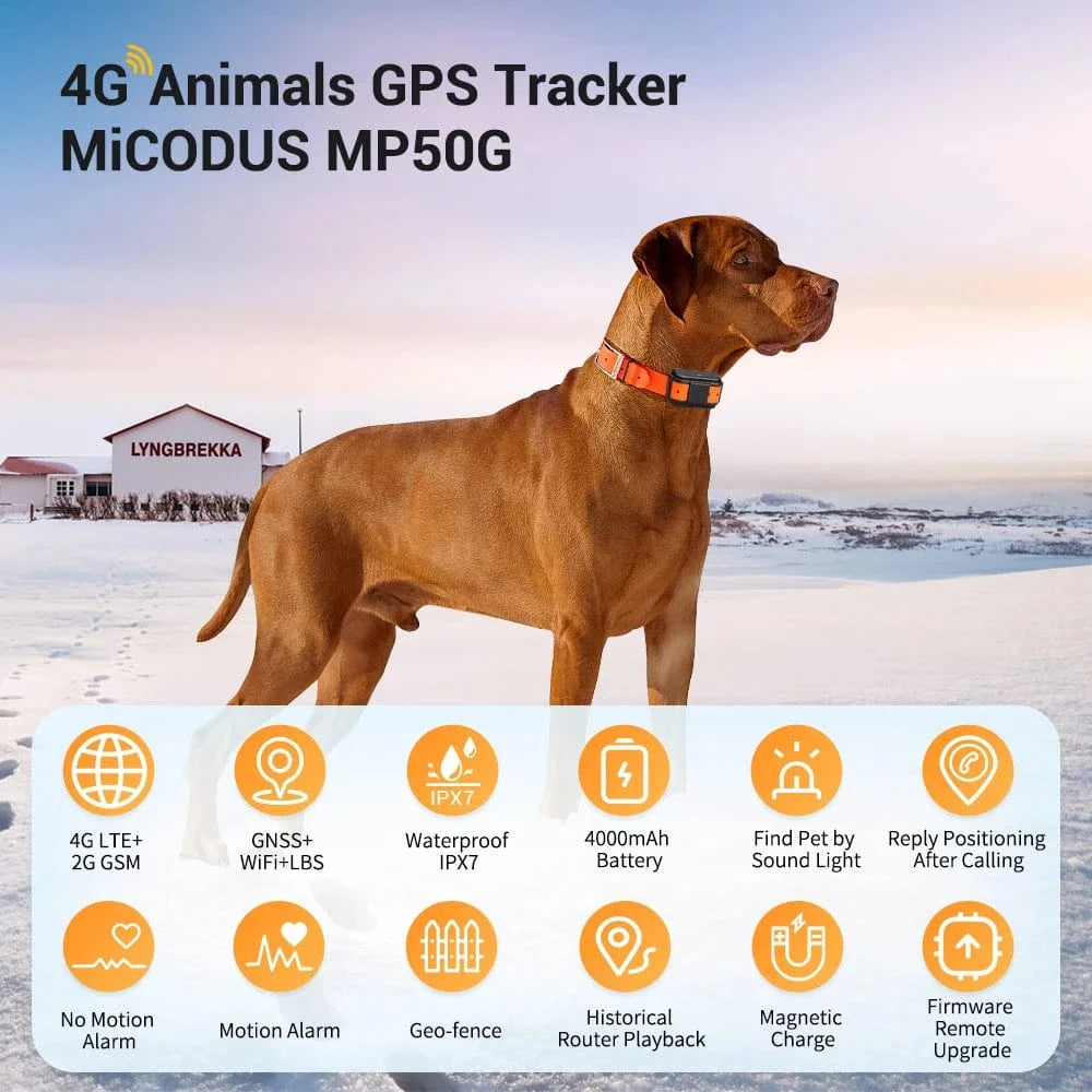 TechnuPet Dog GPS Tracker Lifetime Platform / CHINA Waterproof 4G Pet GPS Tracker