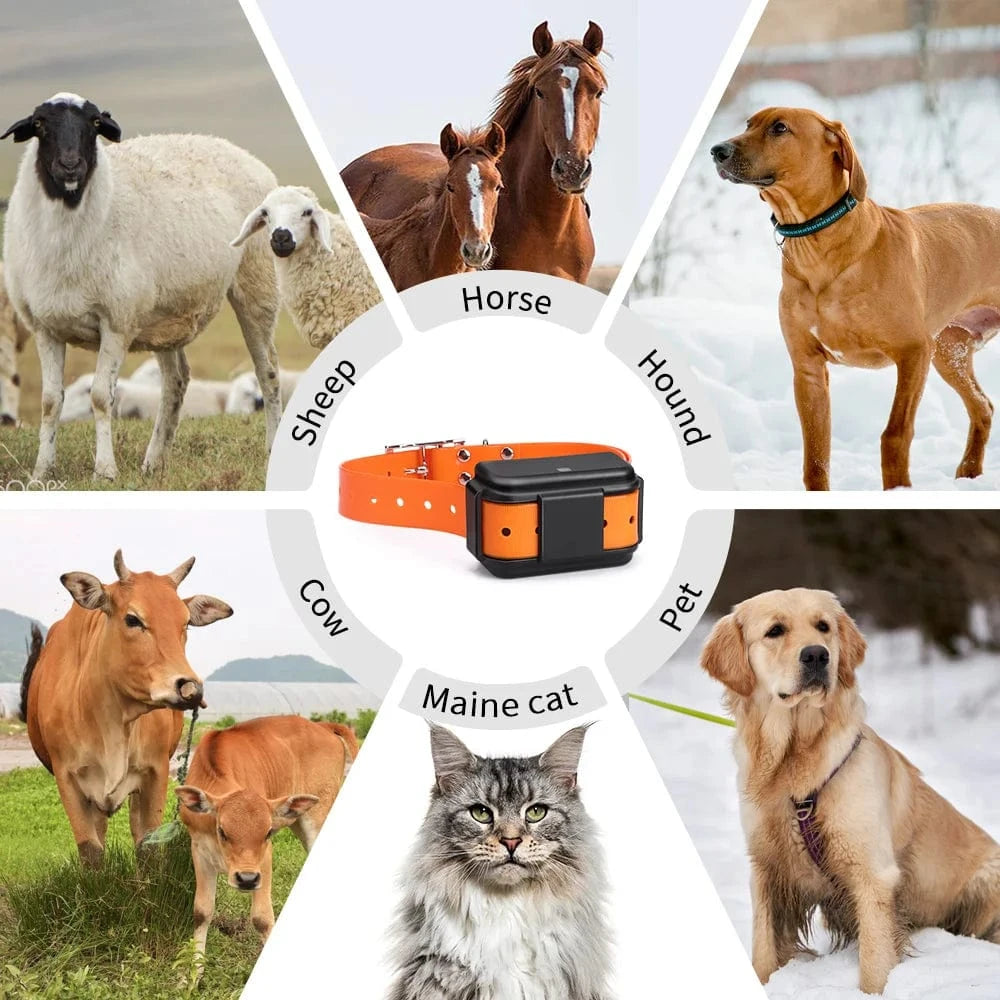TechnuPet Dog GPS Tracker Lifetime Platform / CHINA Waterproof 4G Pet GPS Tracker