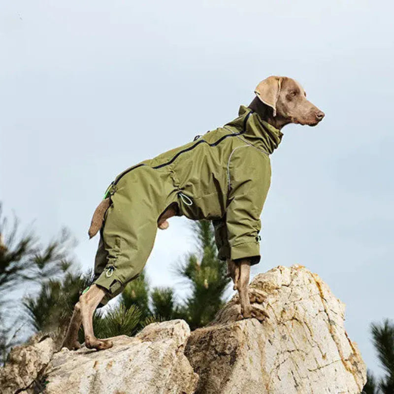 TechnuPet Pet Jackets Waterproof Reflective 4-Leg Dog Jacket