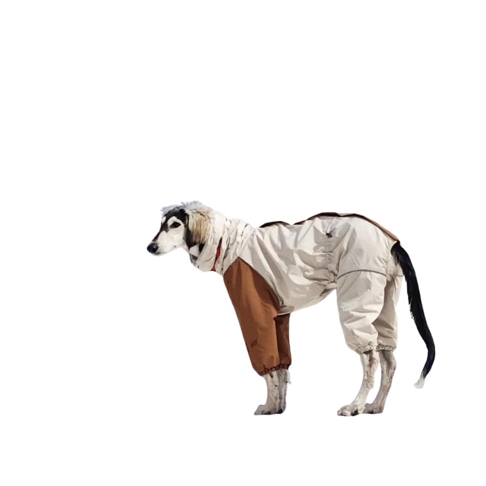 TechnuPet Dog Raincoats Waterproof Warm Dog Winter Coat