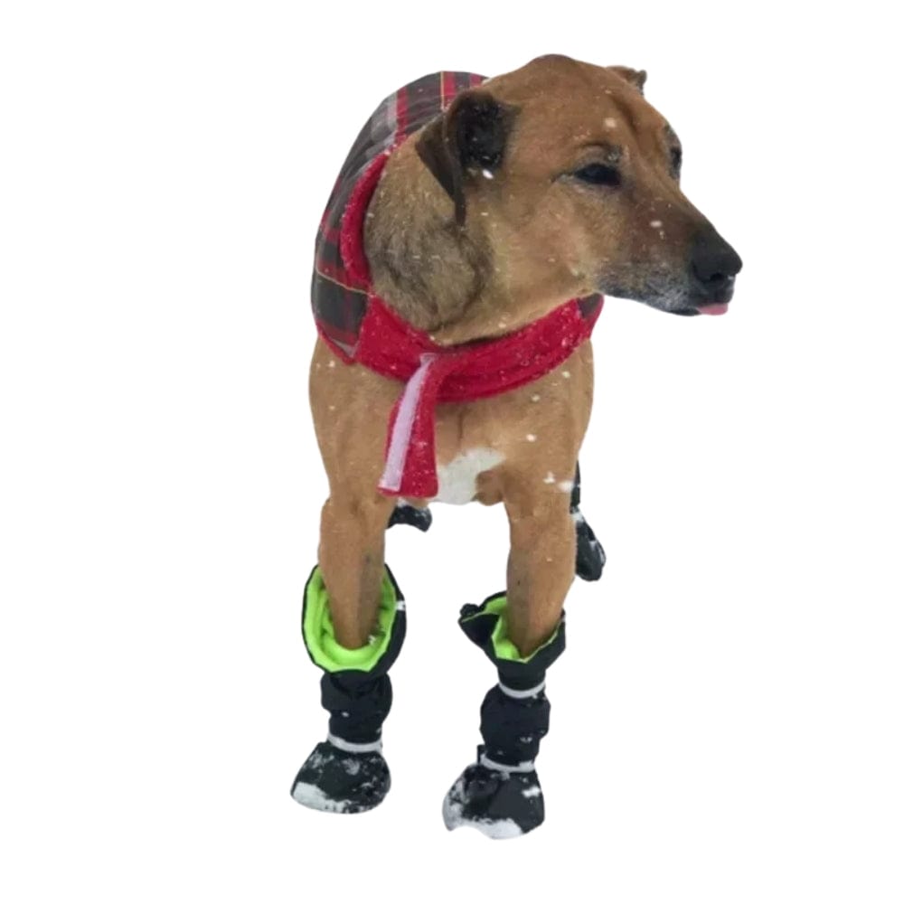TechnuPet Dog Boots Waterproof Winter Dog Boots