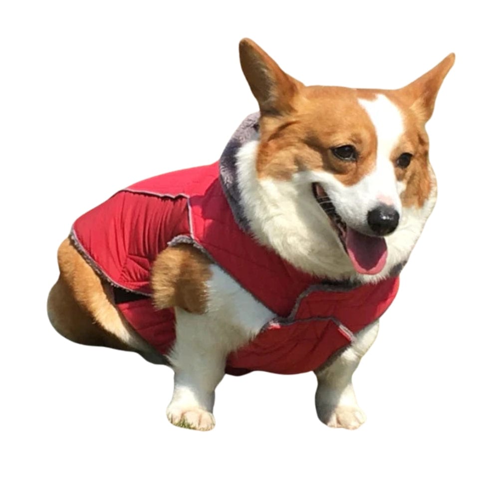 TechnuPet Dog Life jacket Winter Dog Jacket