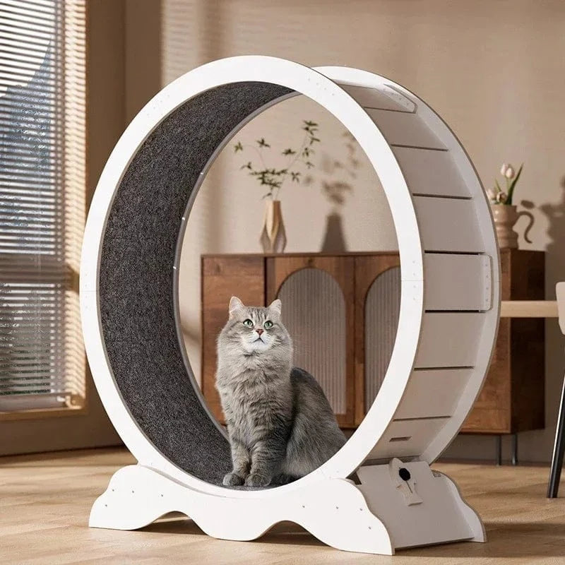 TechnuPet Smart Cat Toys XL Wooden Cat Treadmill Exercise Roller