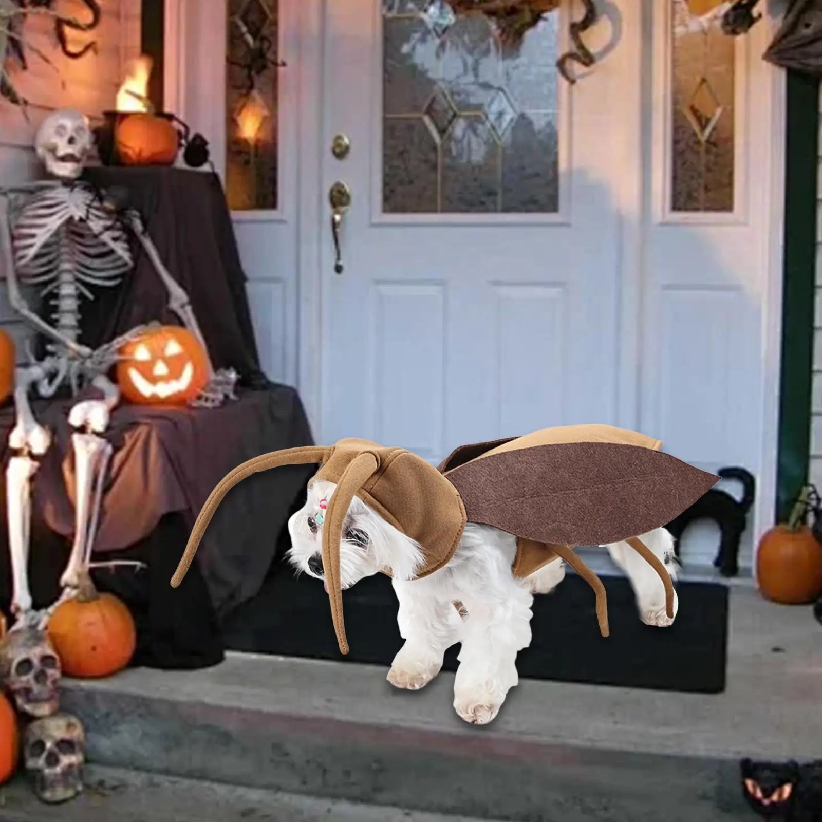 Funny Cosplay Dog Costume Outfit