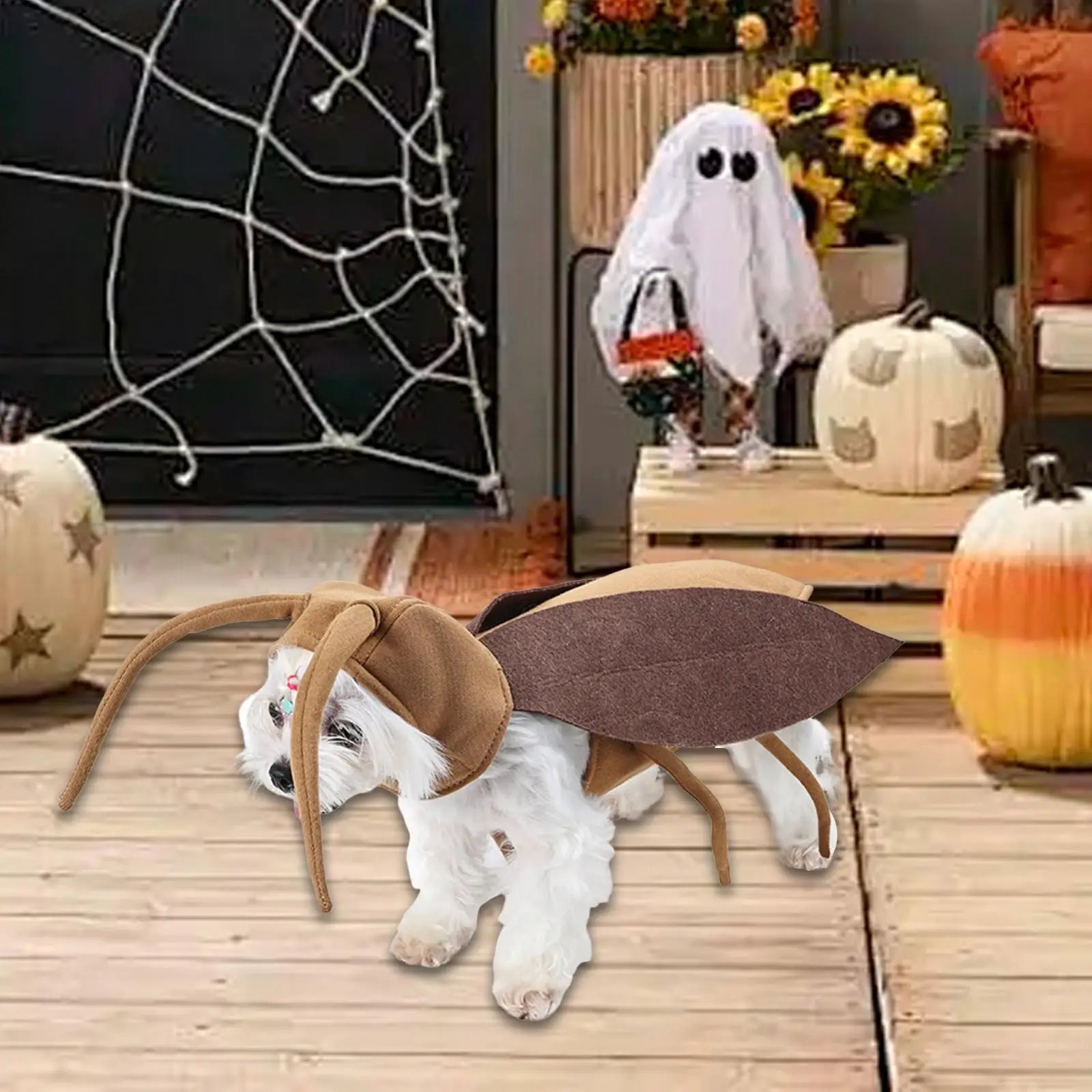 Funny Cosplay Dog Costume Outfit