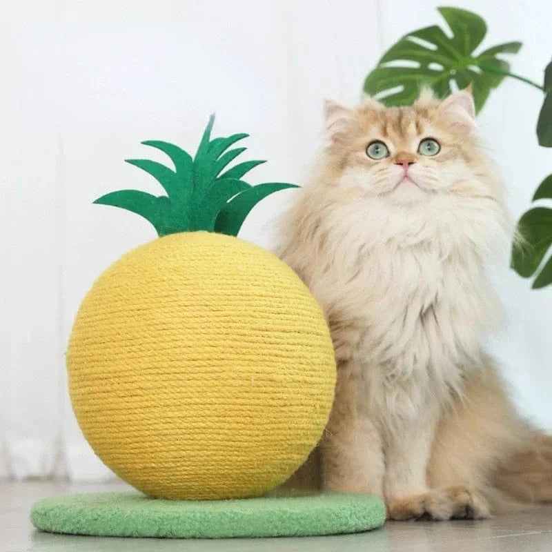 TechnuPet Cat Scratching Post Cat Scratching Toy