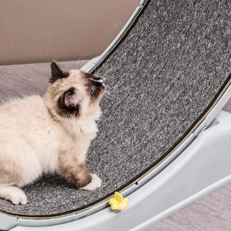 TechnuPet Cat Toys Cat Treadmill