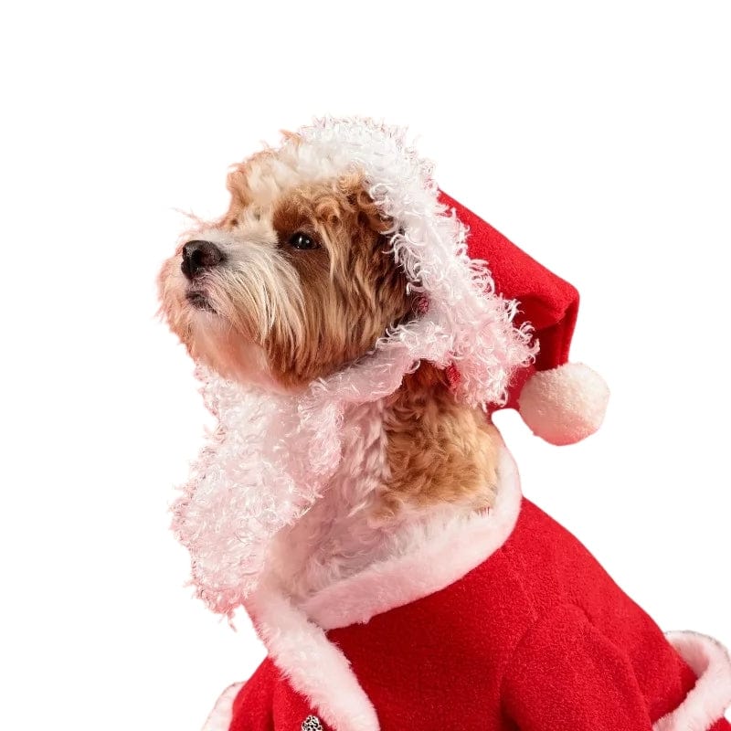 TechnuPet Dog Christmas Outfit Christmas Santa Claus Pet Costume with Hat