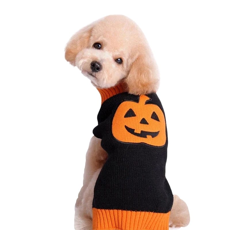 TechnuPet Dog Sweaters Halloween Dog Sweater